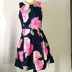 Beautiful women Jessica Howard  dress church,work dress,formal dress size 8.